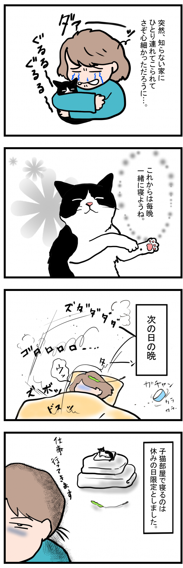 ノアレオン5-2