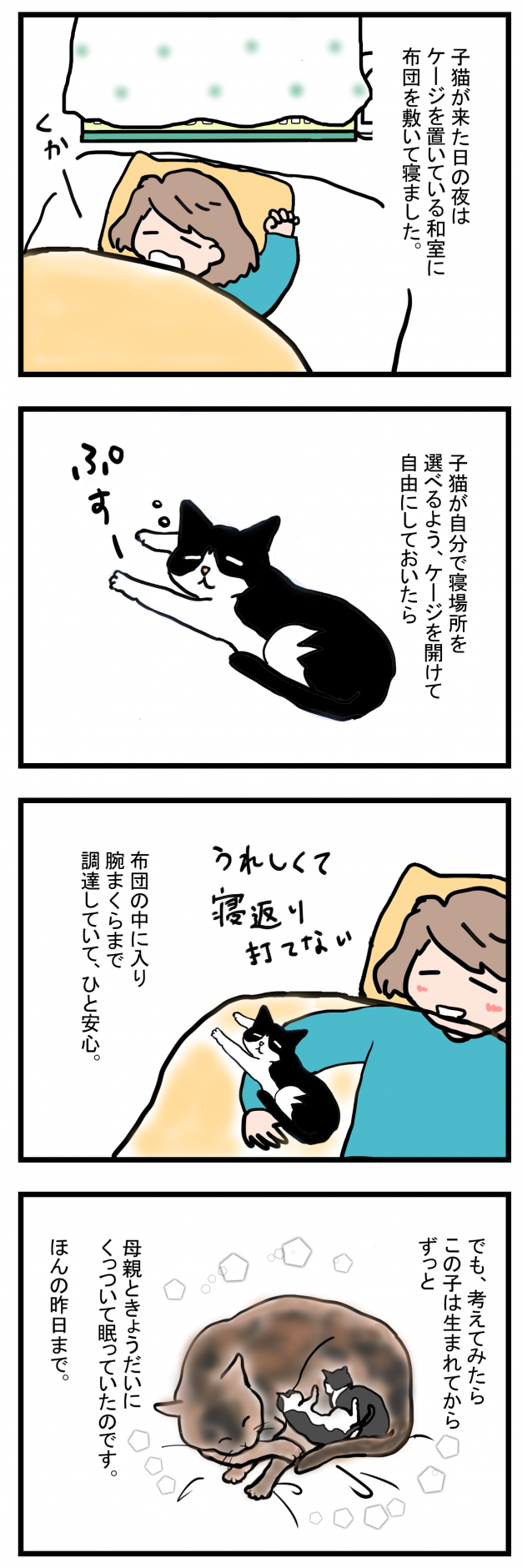 ノアレオン5-1