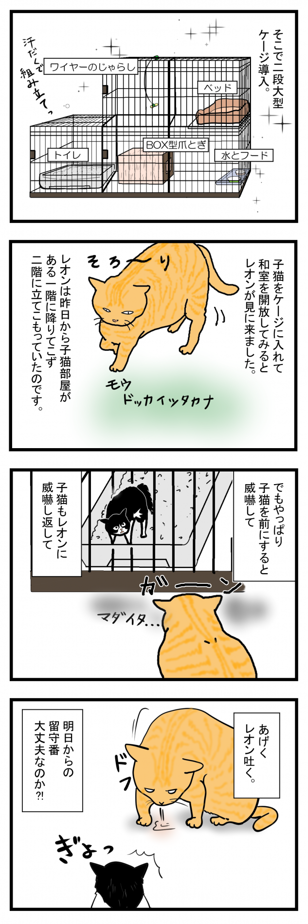 ノアレオン6-2