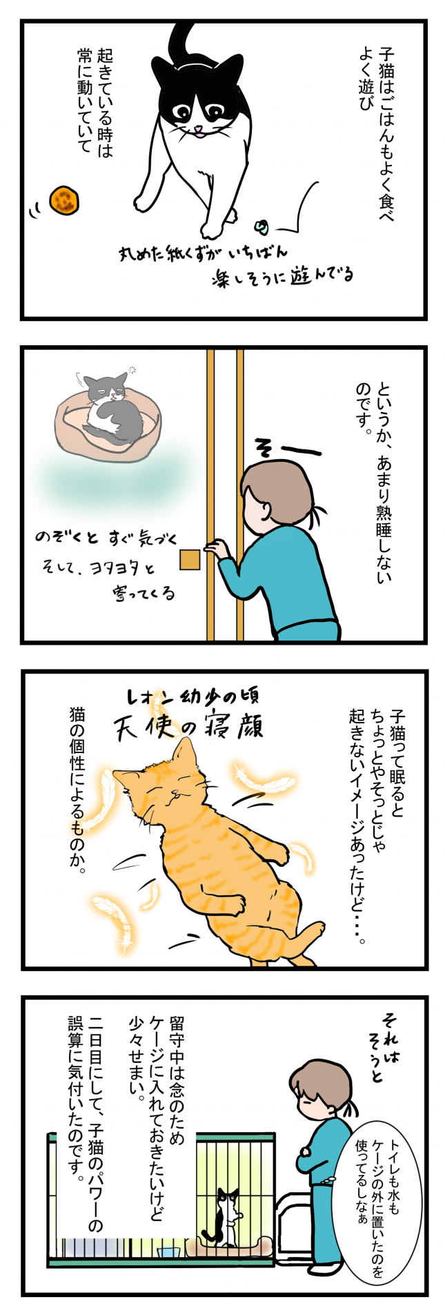 ノアレオン6-1