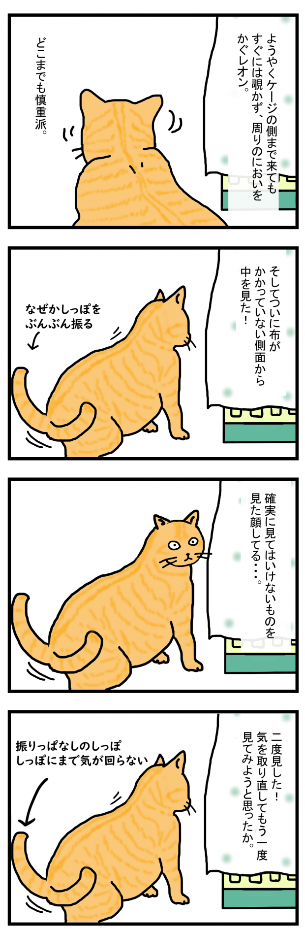 ノアレオン3-1