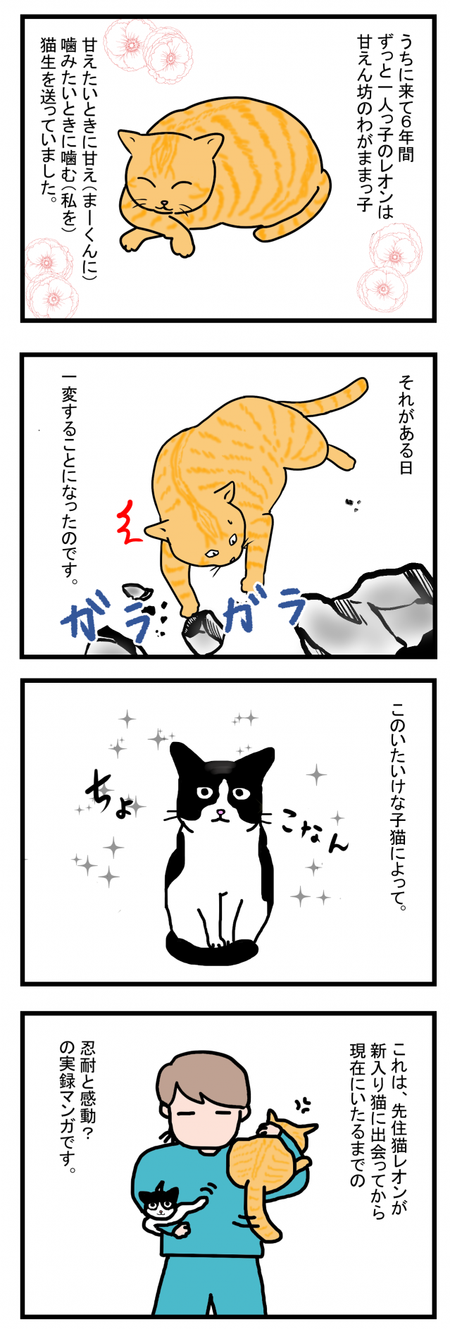 ノアレオン1-1