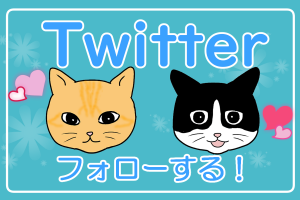 Twitterフォローする
