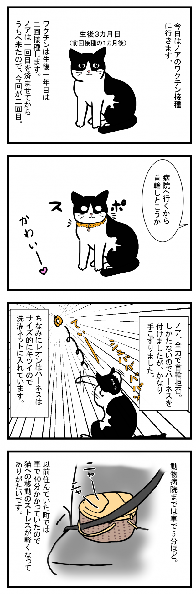 ノアレオン16-1