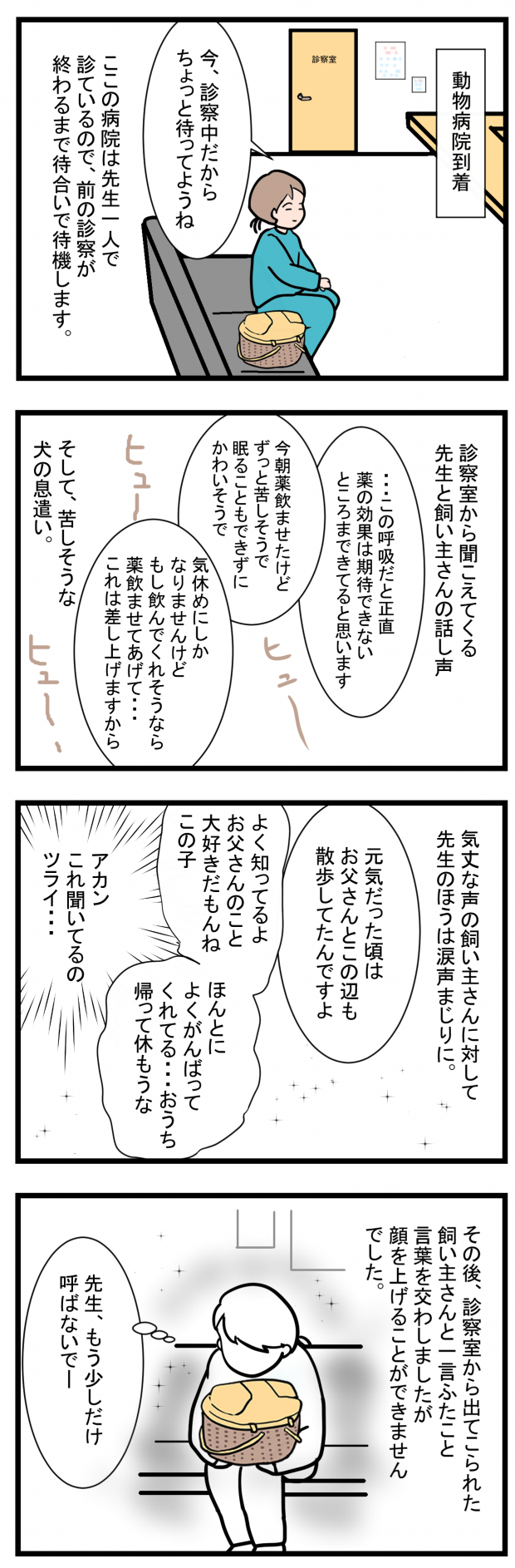ノアレオン16-2