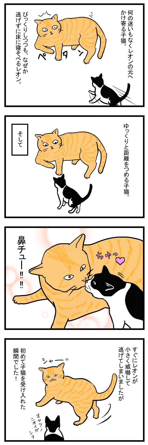 ノアレオン11-2