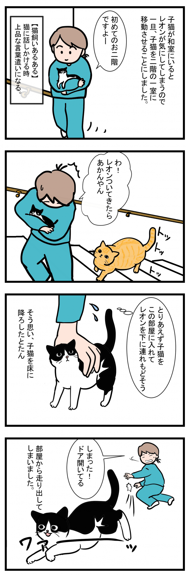 ノアレオン11-1