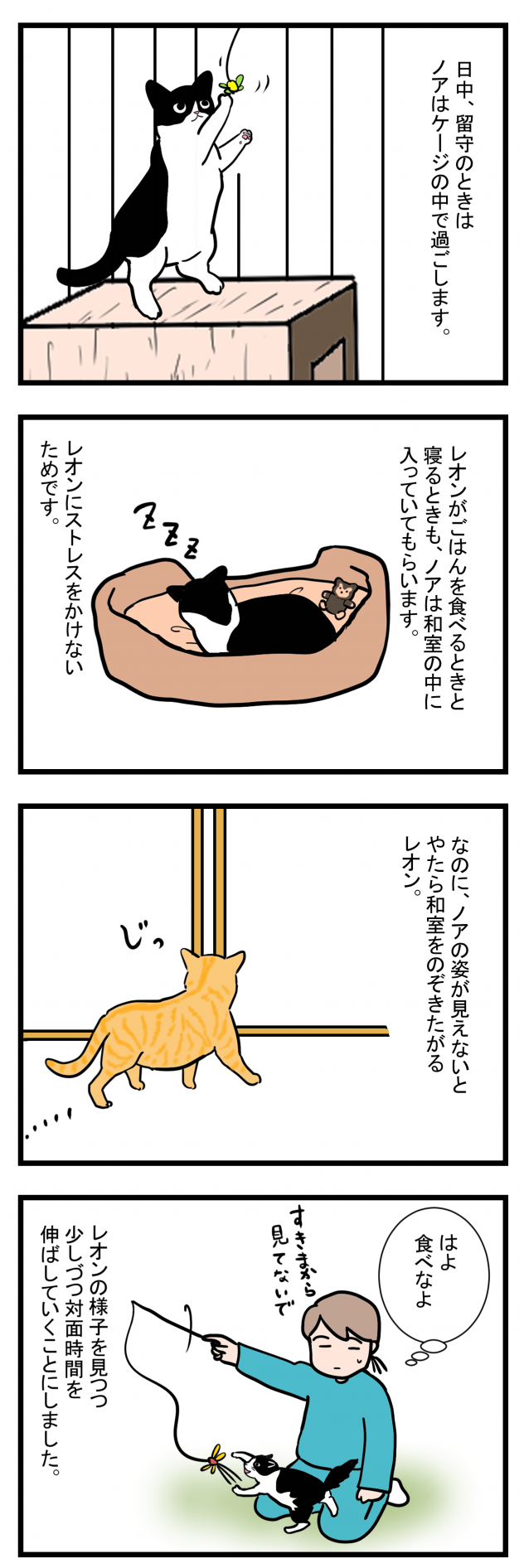 ノアレオン15-1