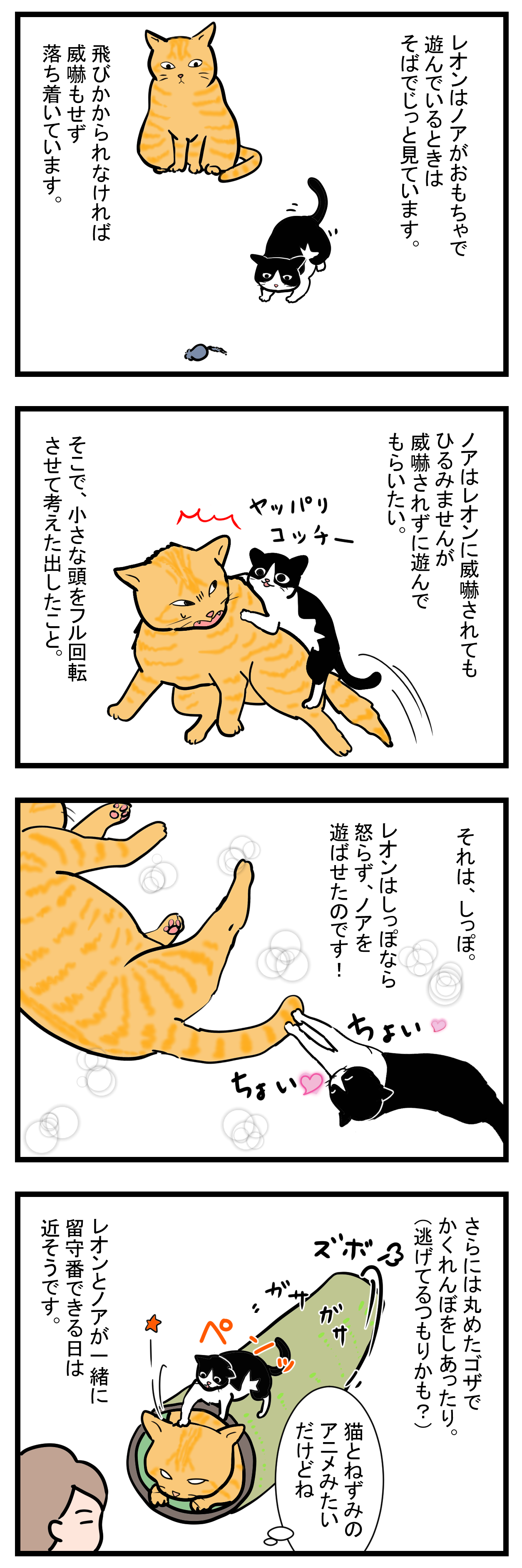 ノアレオン15-2