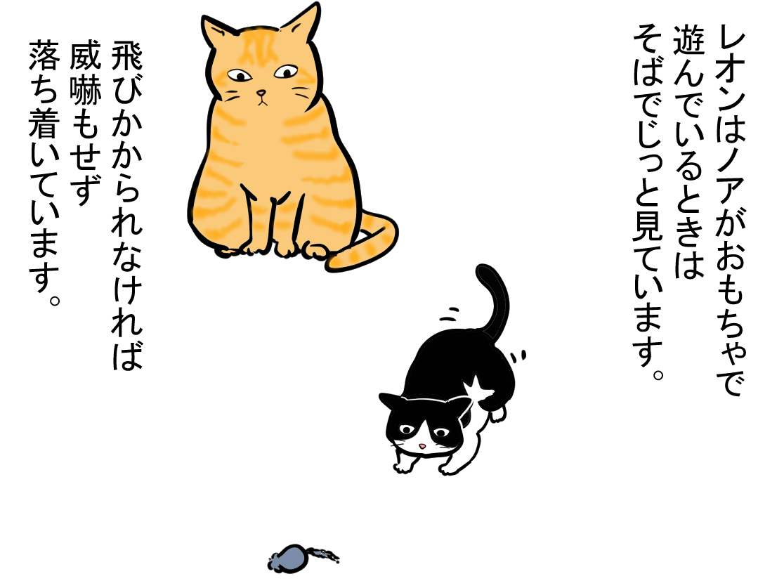 ノアレオン15-2
