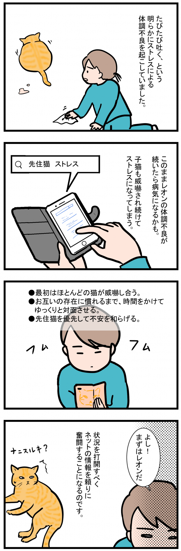 ノアレオン8-2