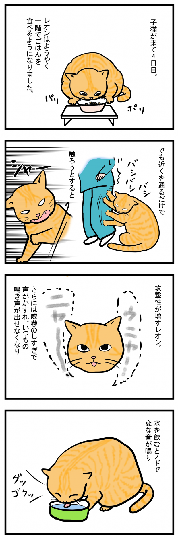 ノアレオン8-1