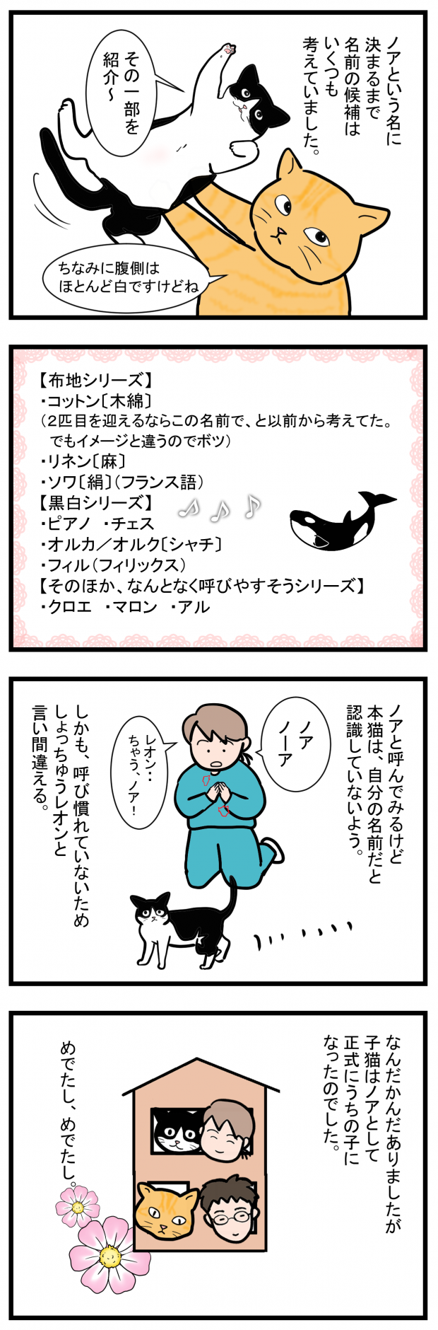 ノアレオン13-2