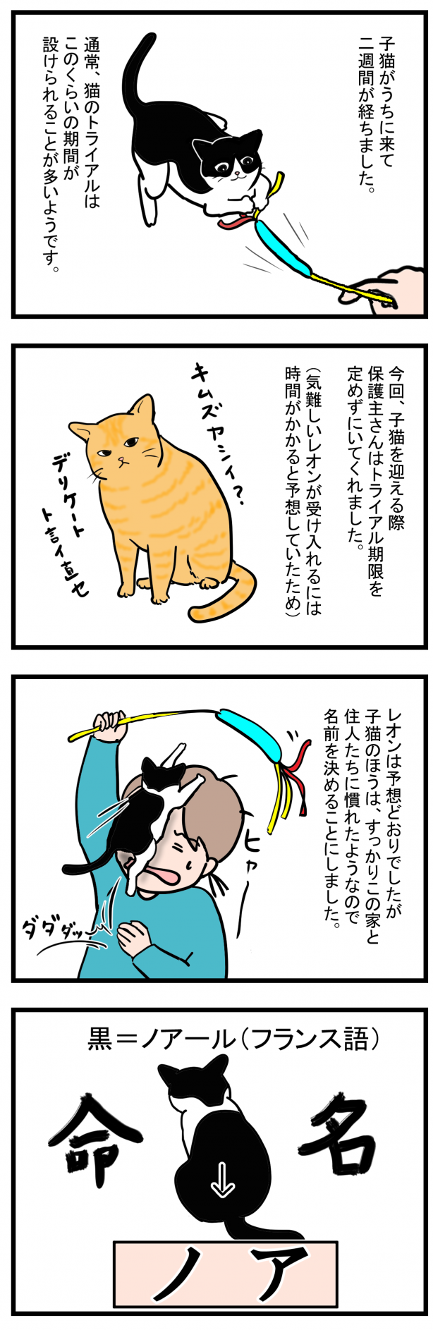 ノアレオン13-1