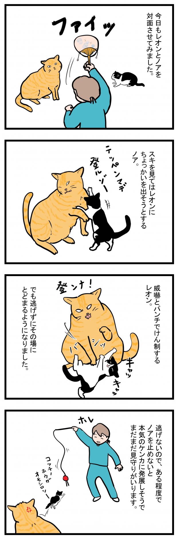 ノアレオン14-1