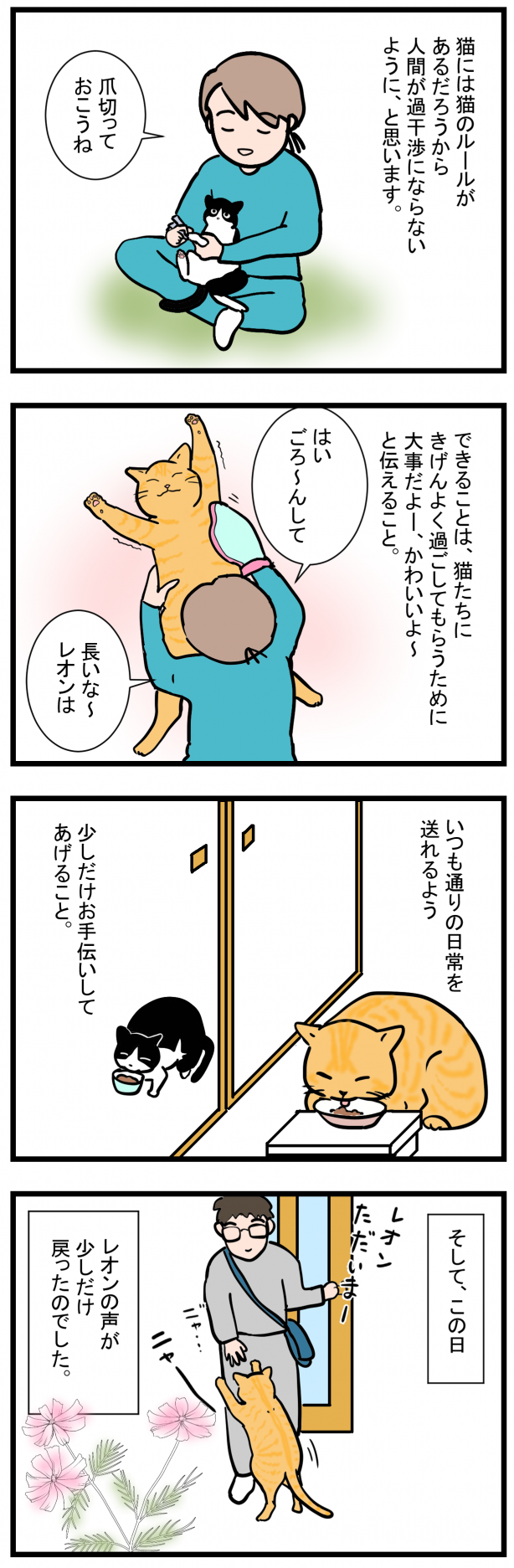 ノアレオン14-2