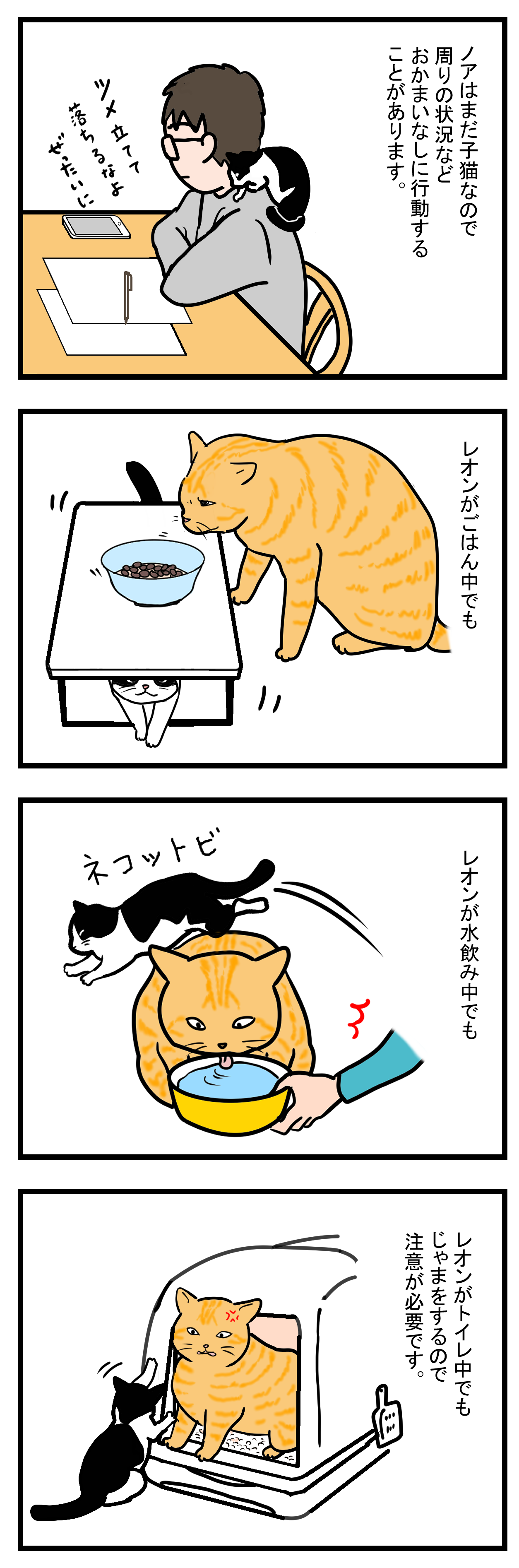 ノアレオン20-1
