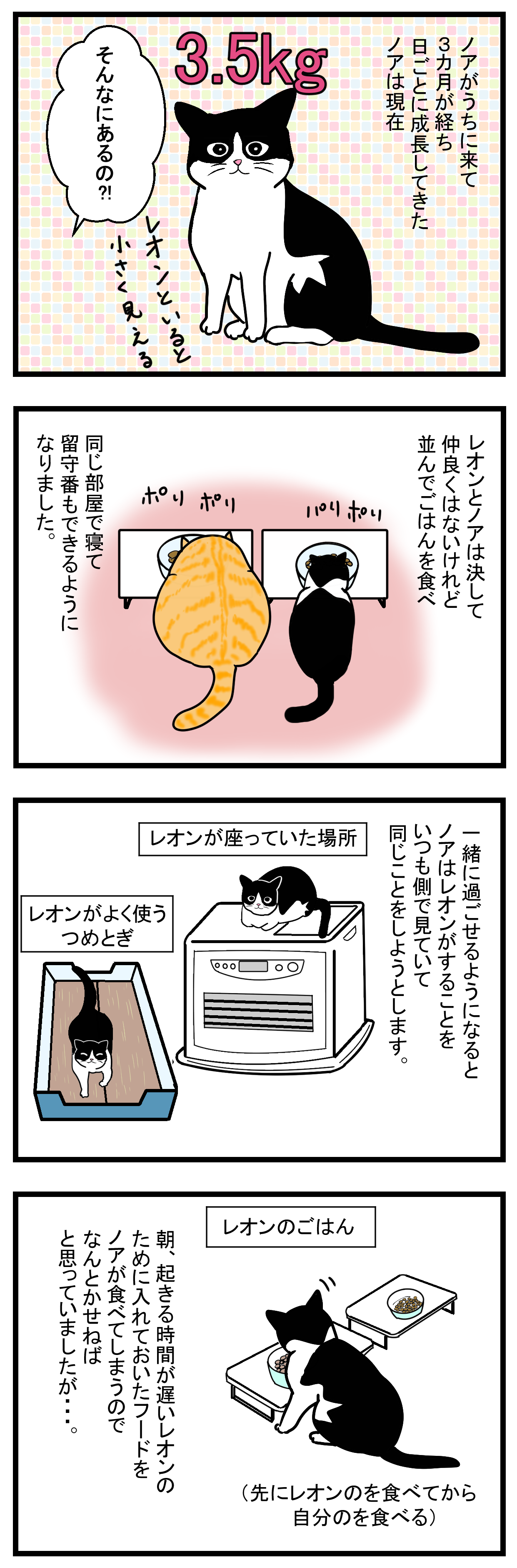 ノアレオン29-1