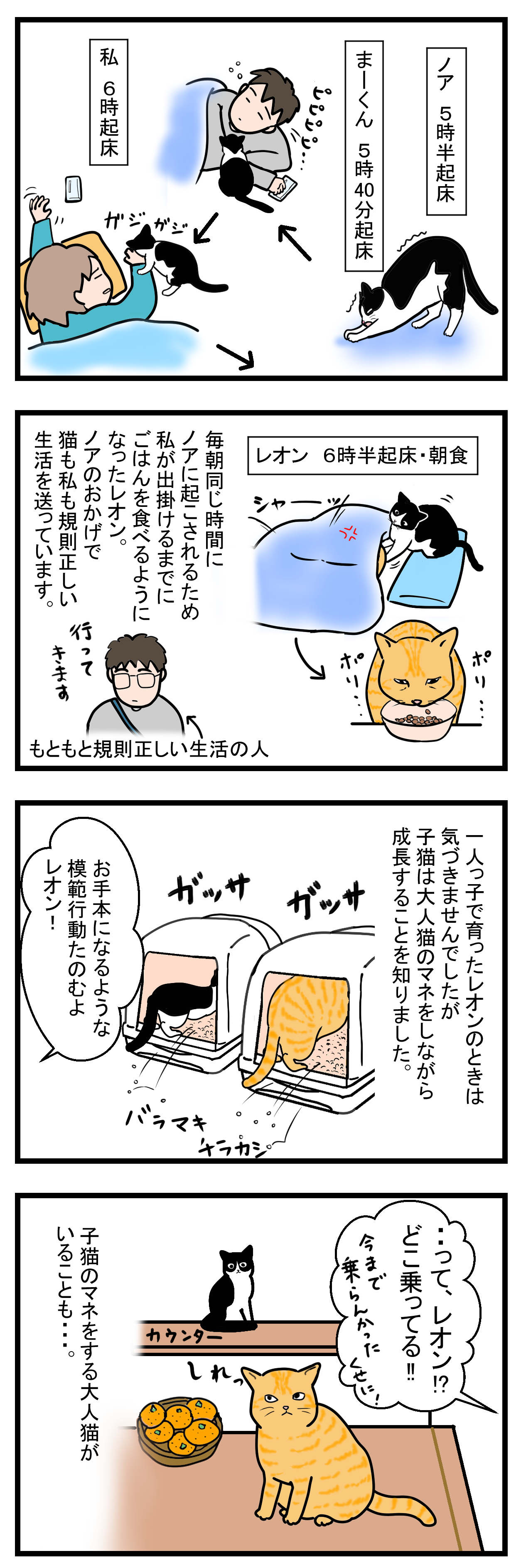 ノアレオン29-2