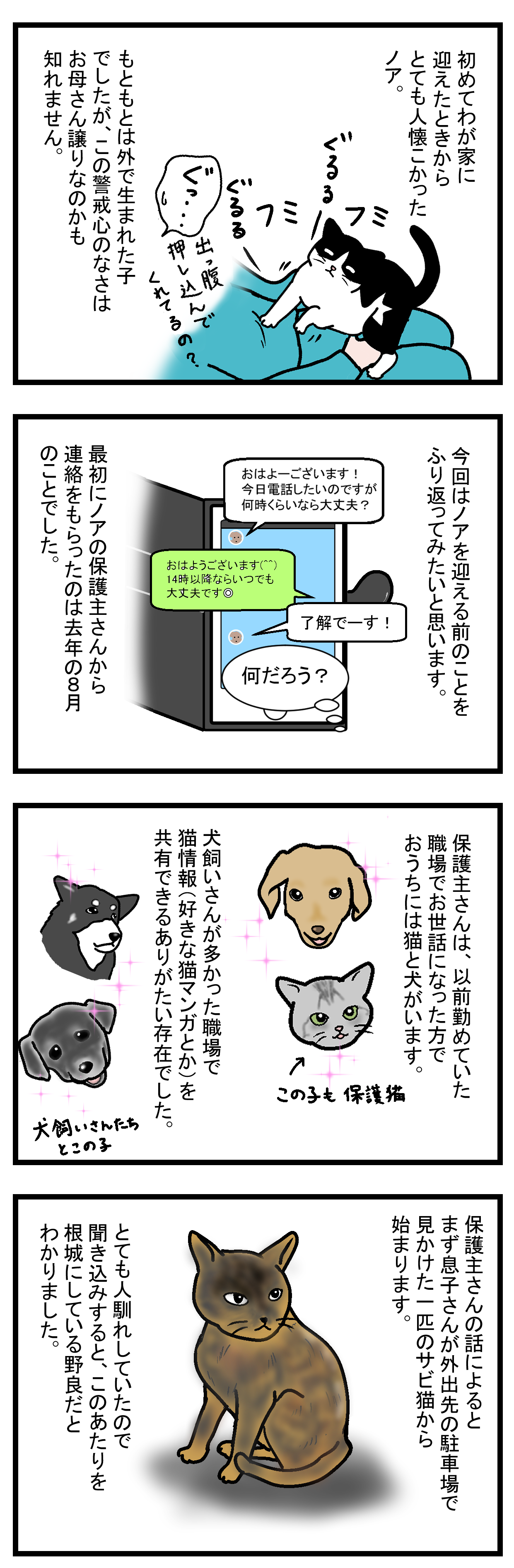 ノアレオン25-1