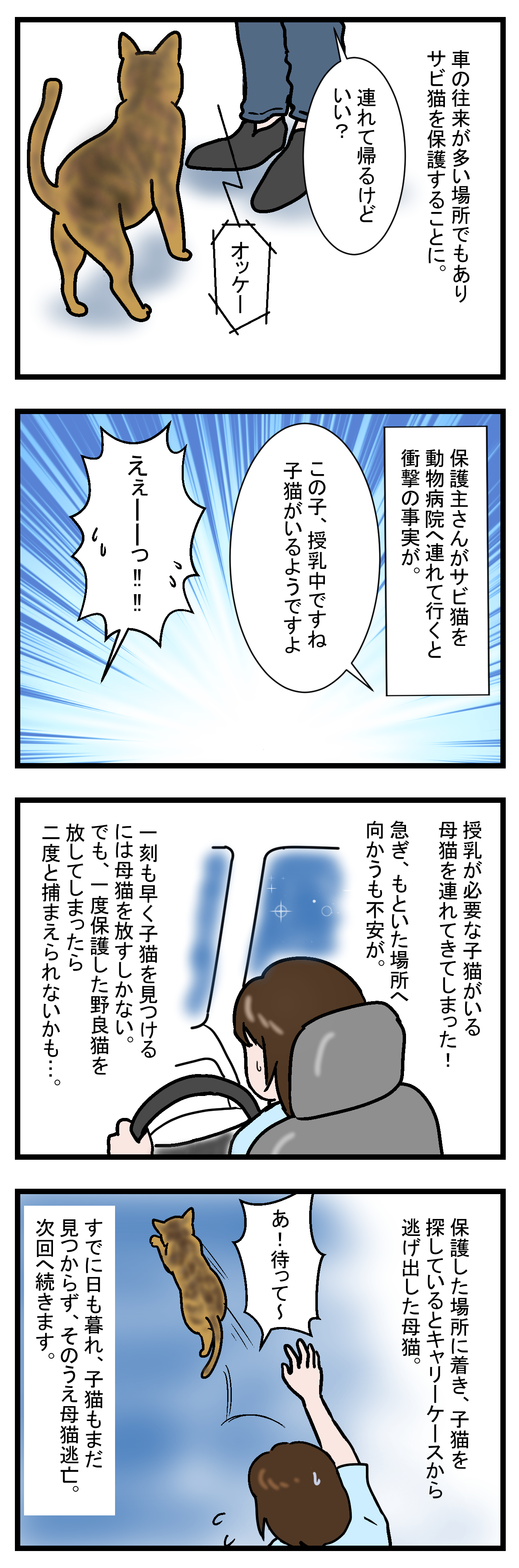 ノアレオン25-2