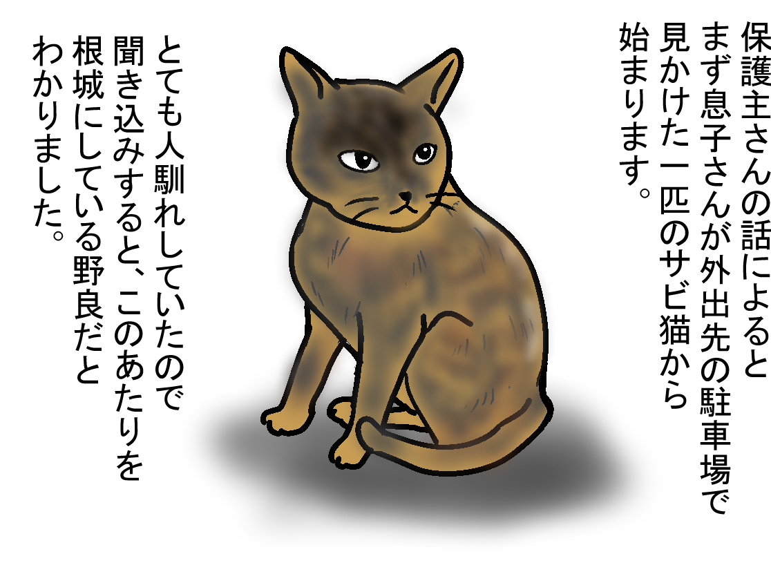 ノアレオン25