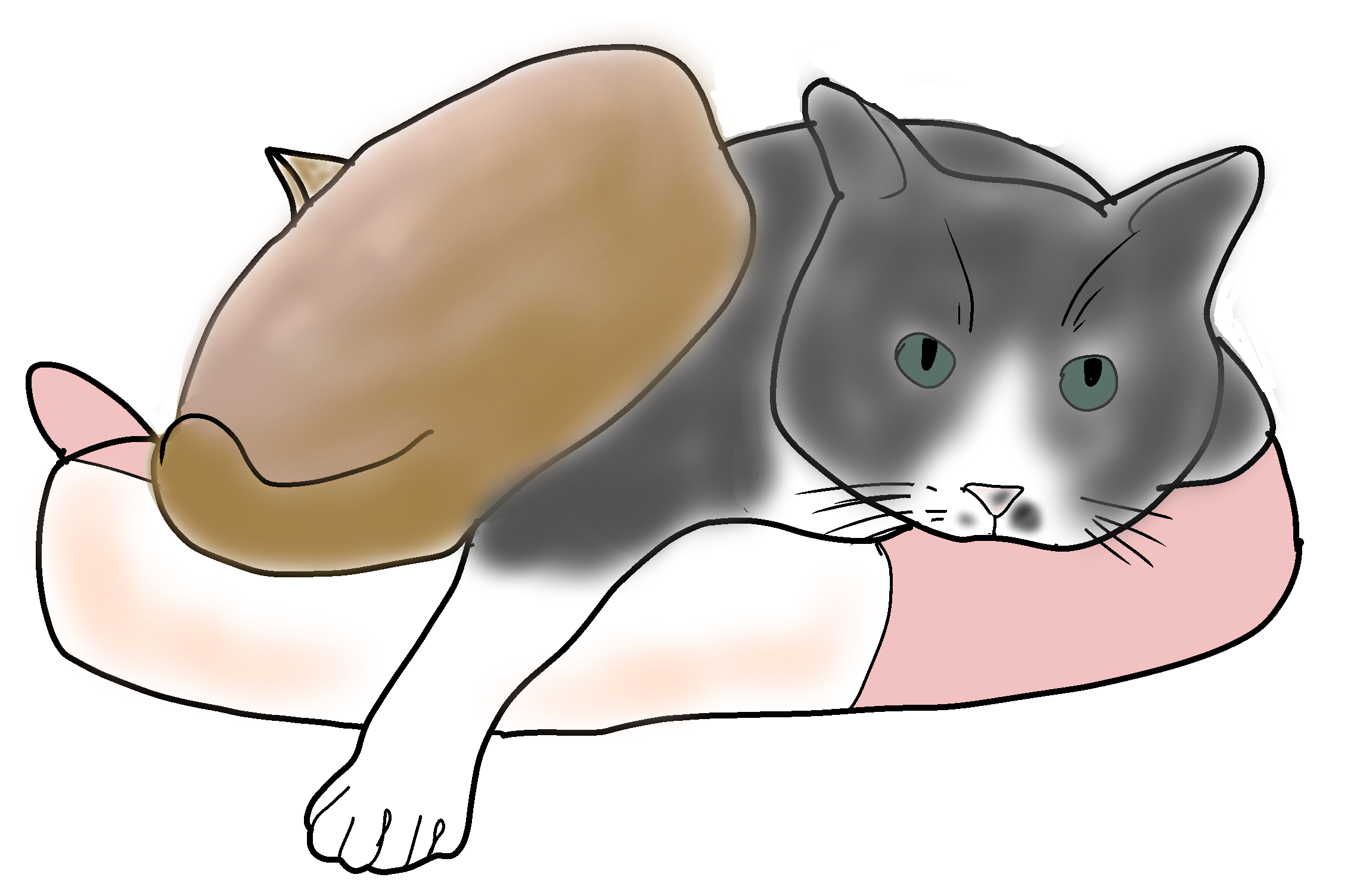 ねこのきもち付録.2