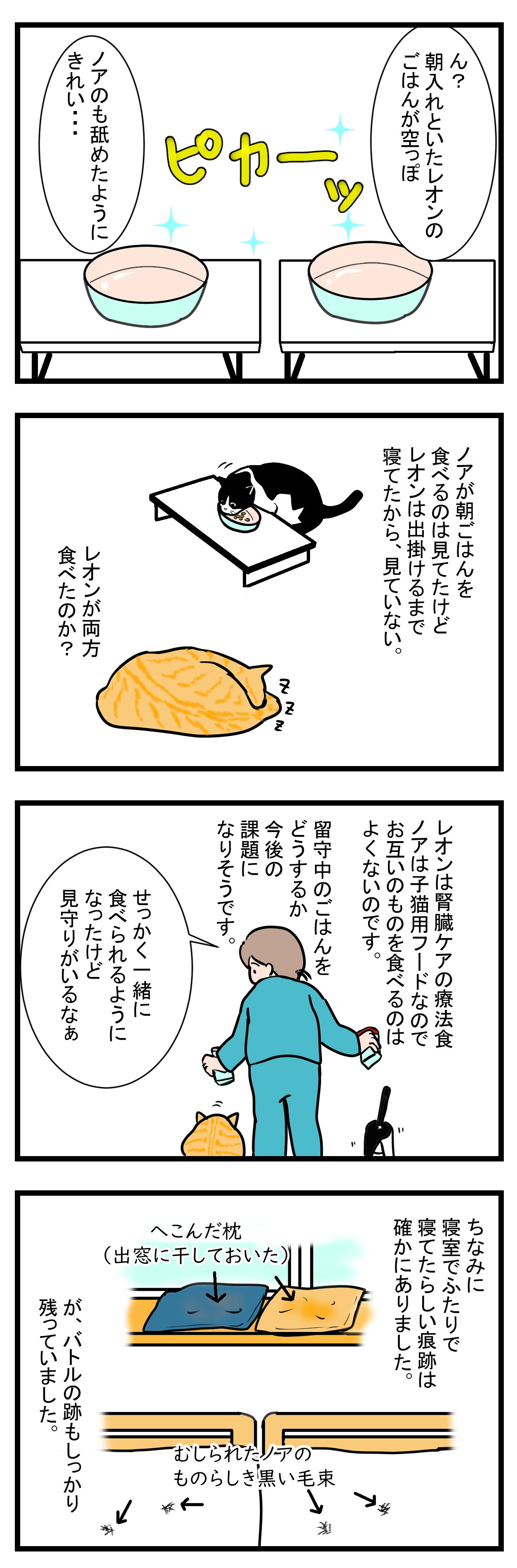 ノアレオン23-2
