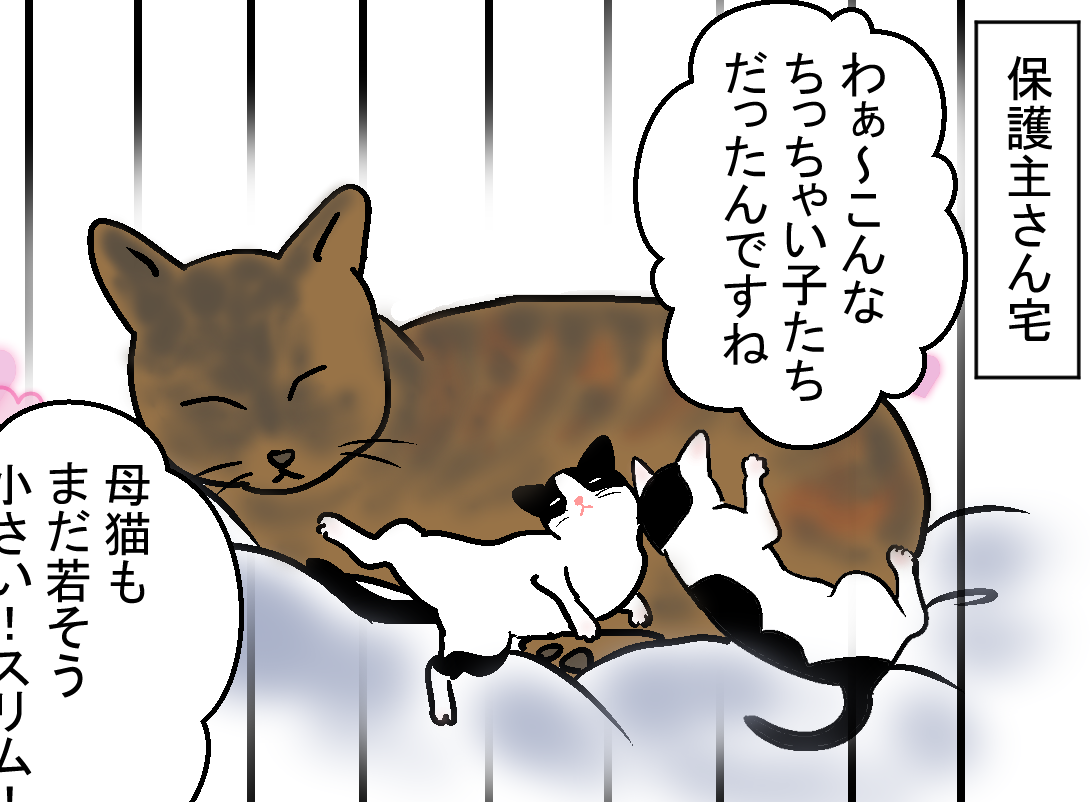 ノアレオン27