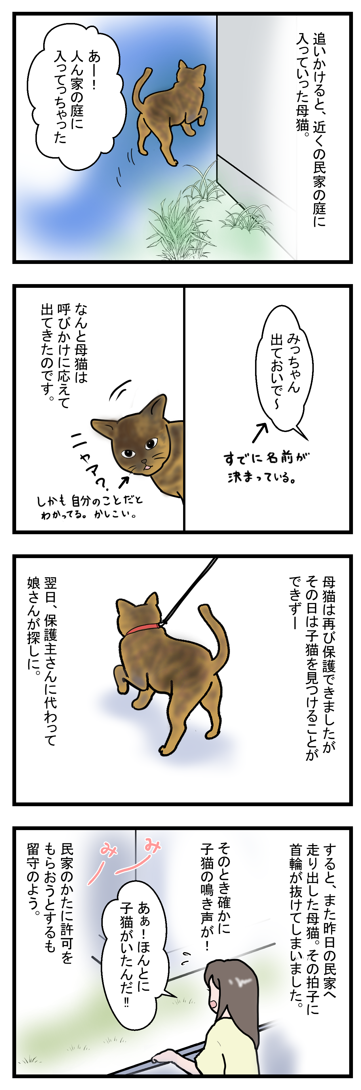 ノアレオン26-1