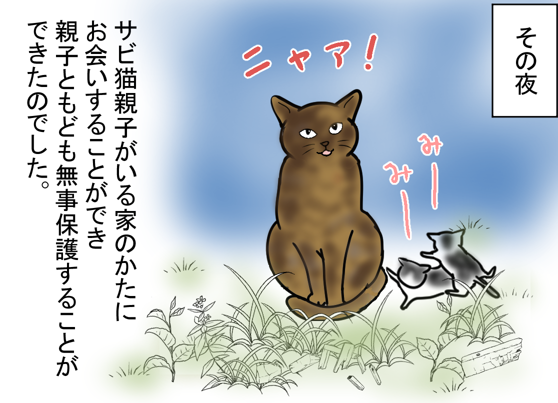 ノアレオン26