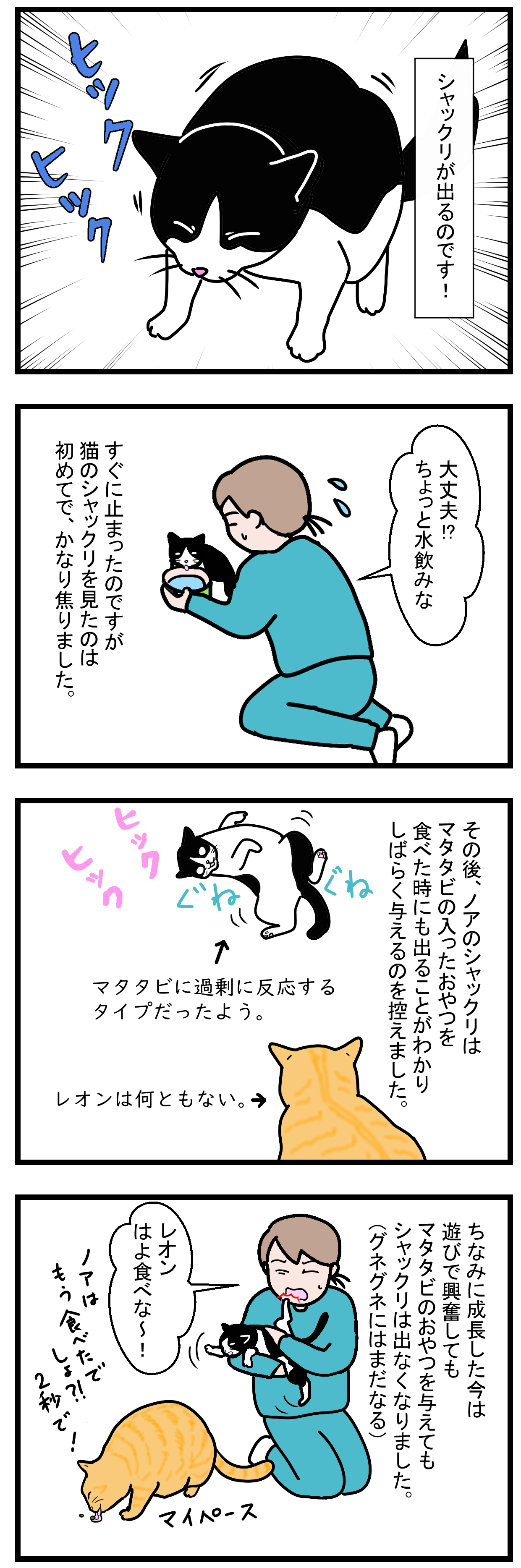 ノアレオン33-2