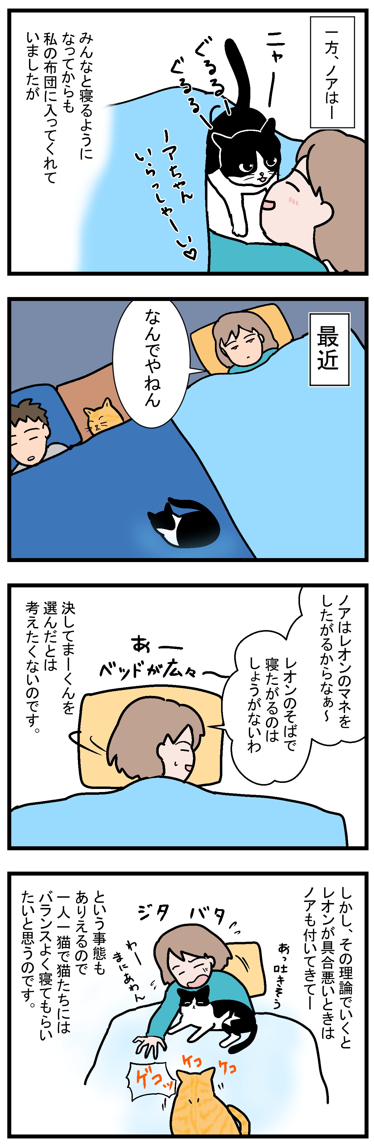 ノアレオン30-2