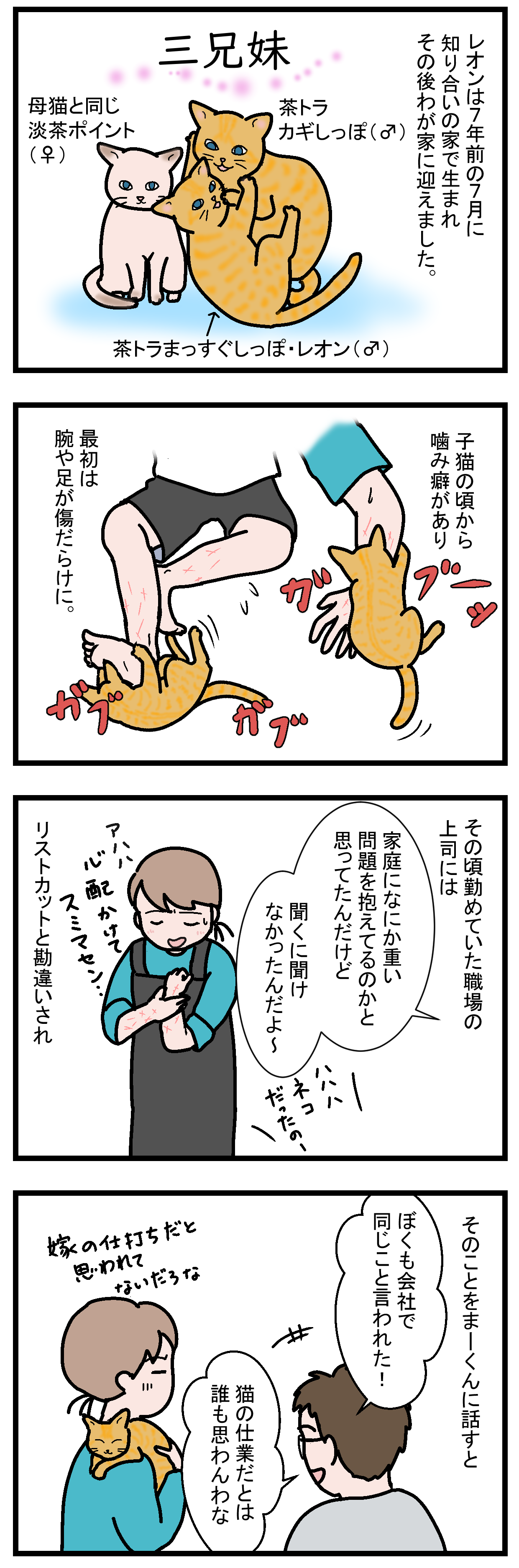 ノアレオン35-1
