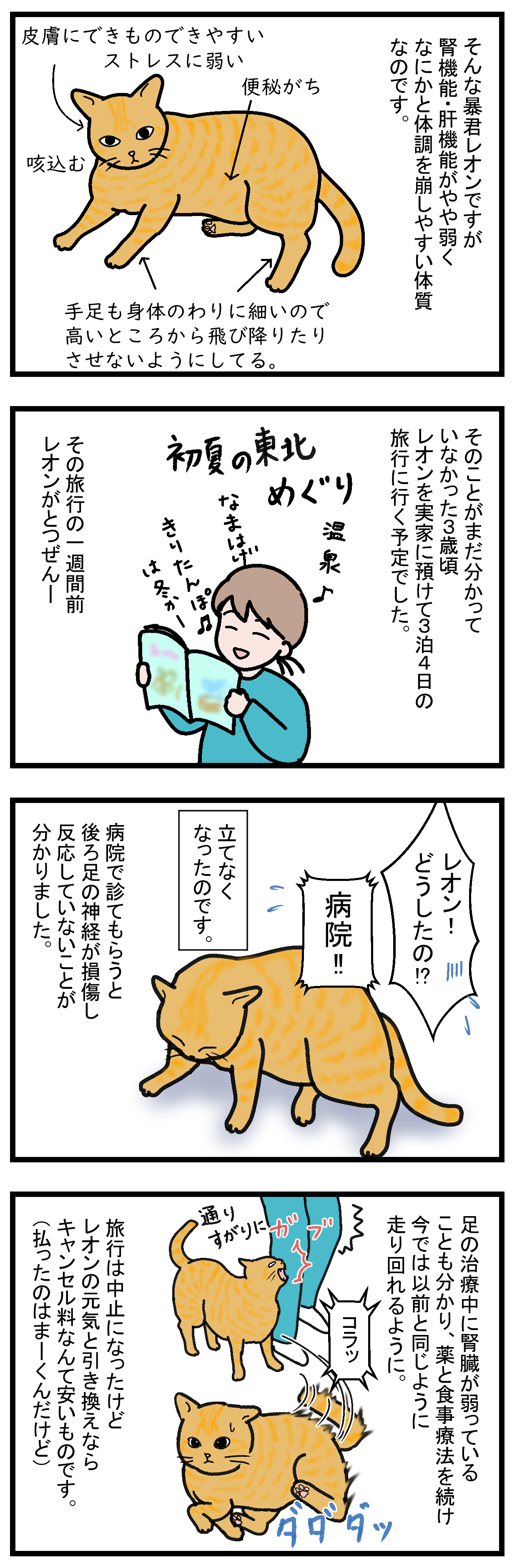 ノアレオン35-2