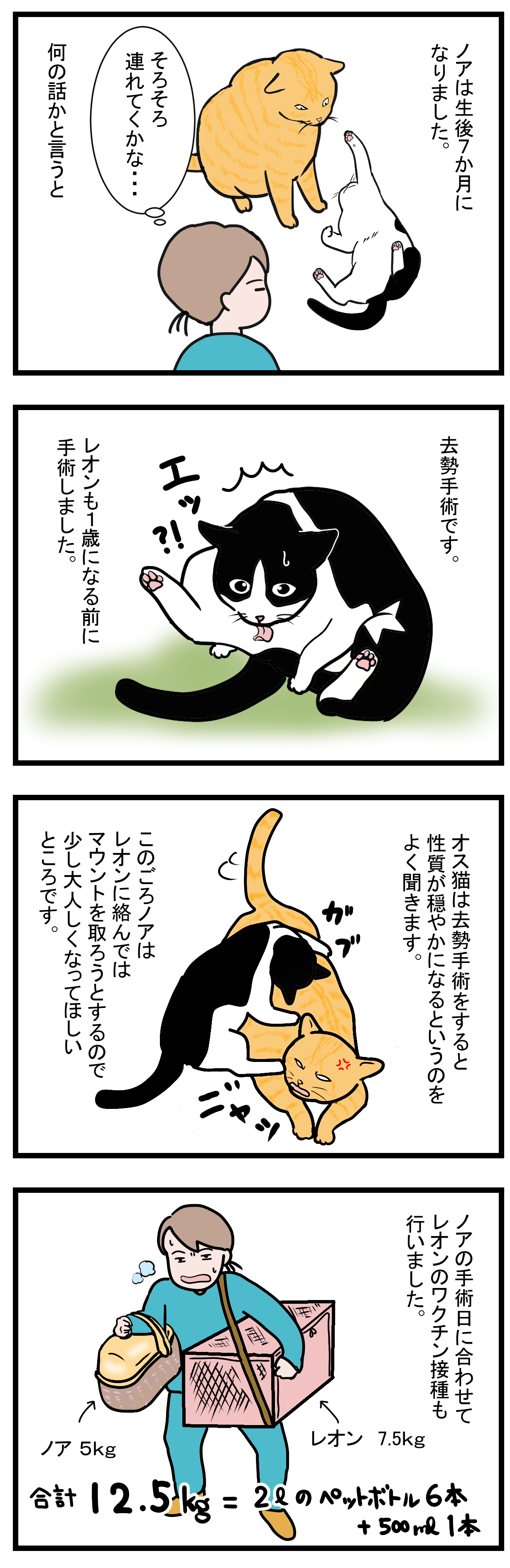 ノアレオン38-1