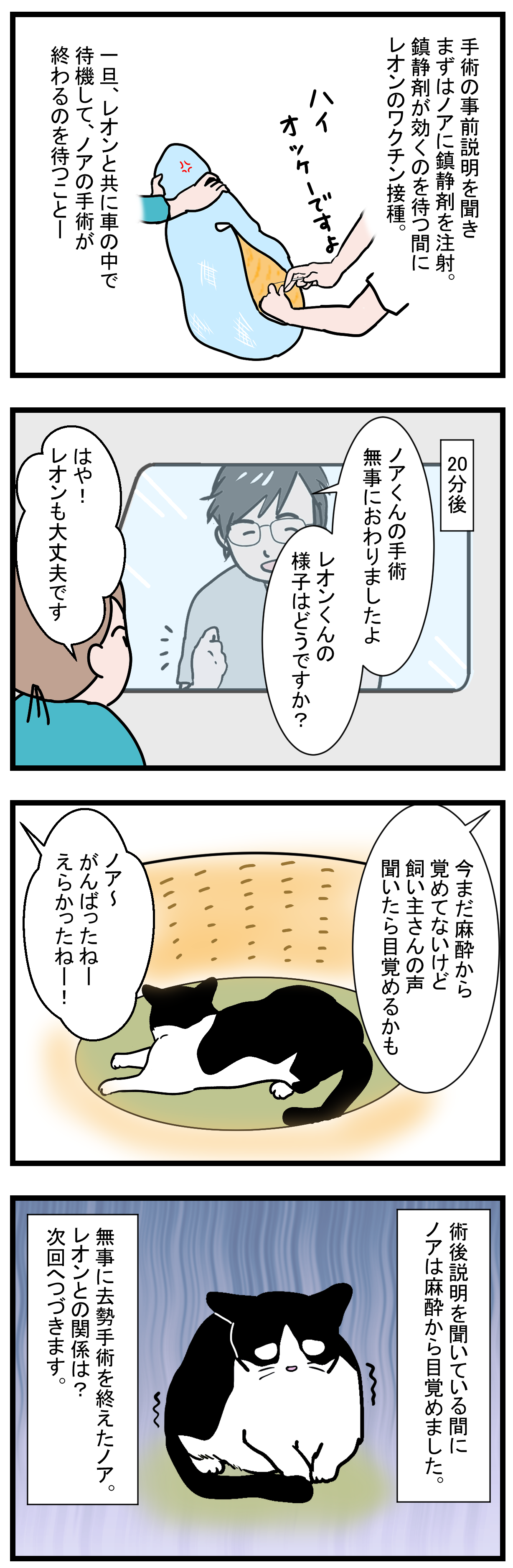 ノアレオン38-2
