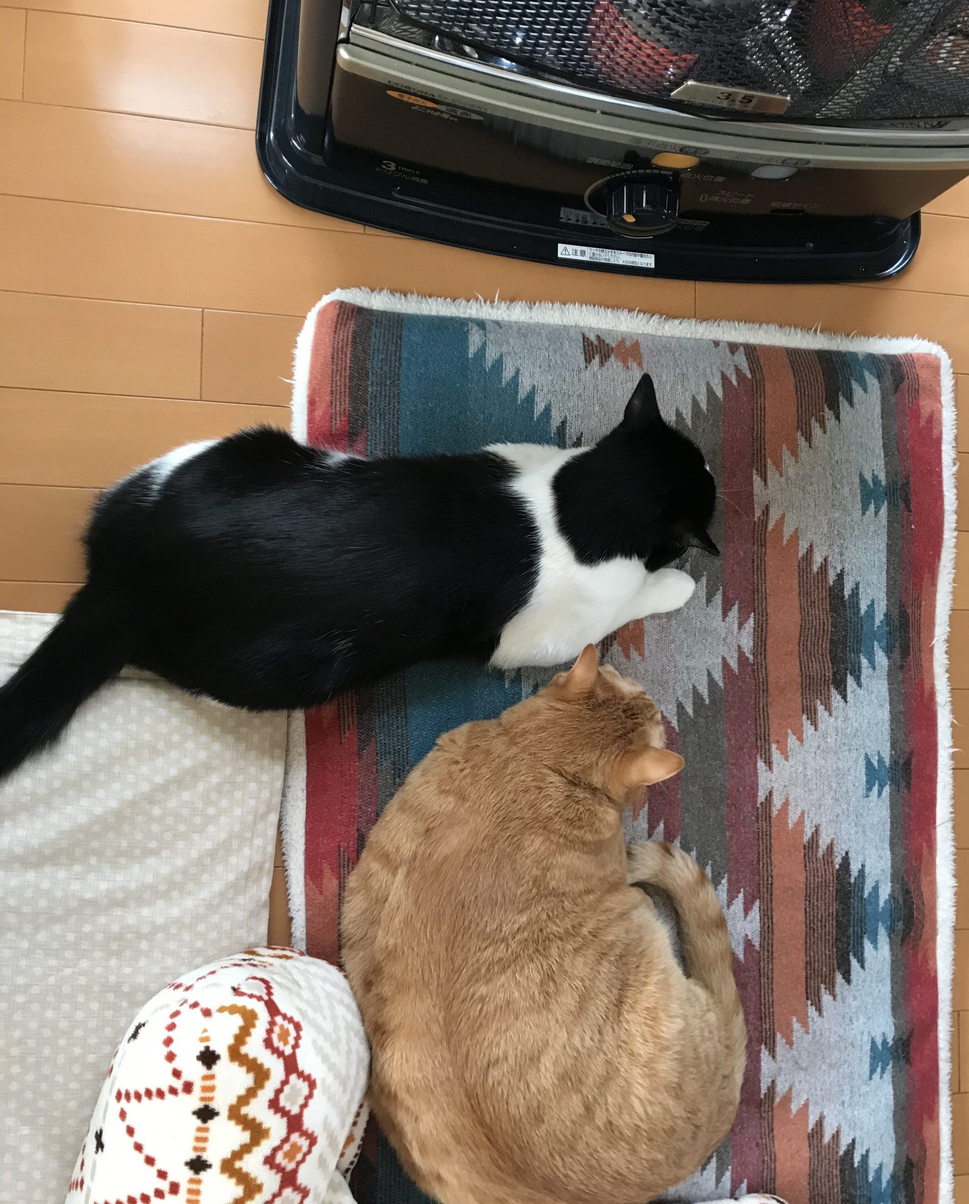寄り添う.2