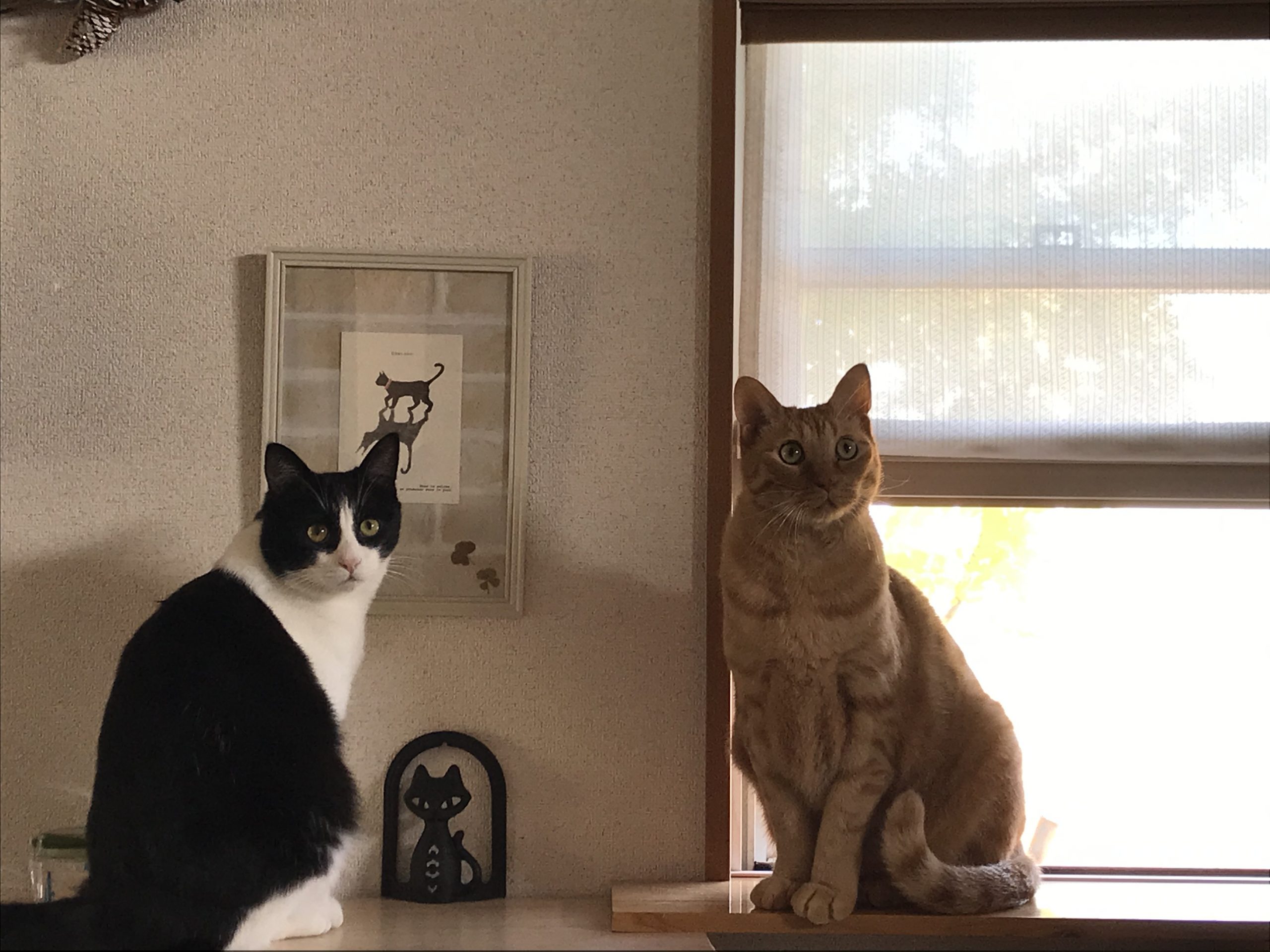 ノア&レオン