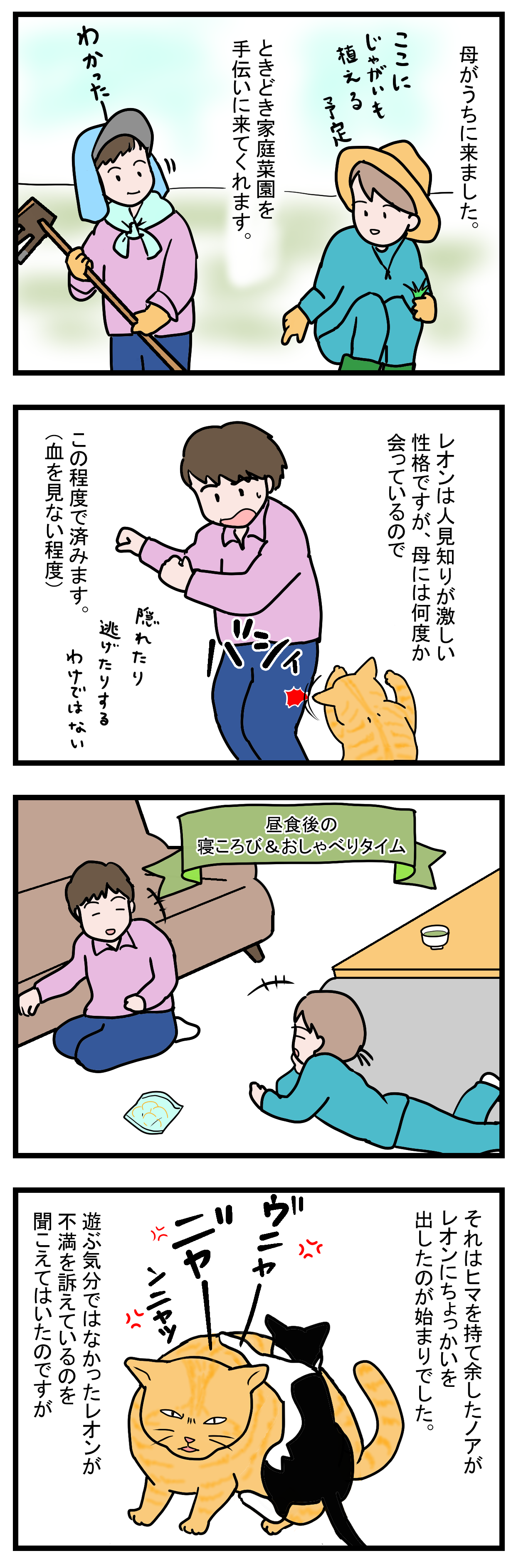 ノアレオン36-1