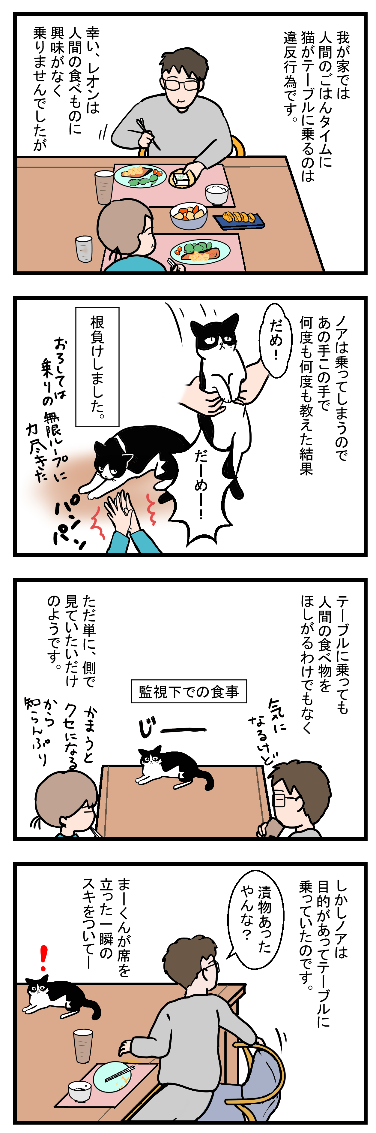 ノアレオン31-1