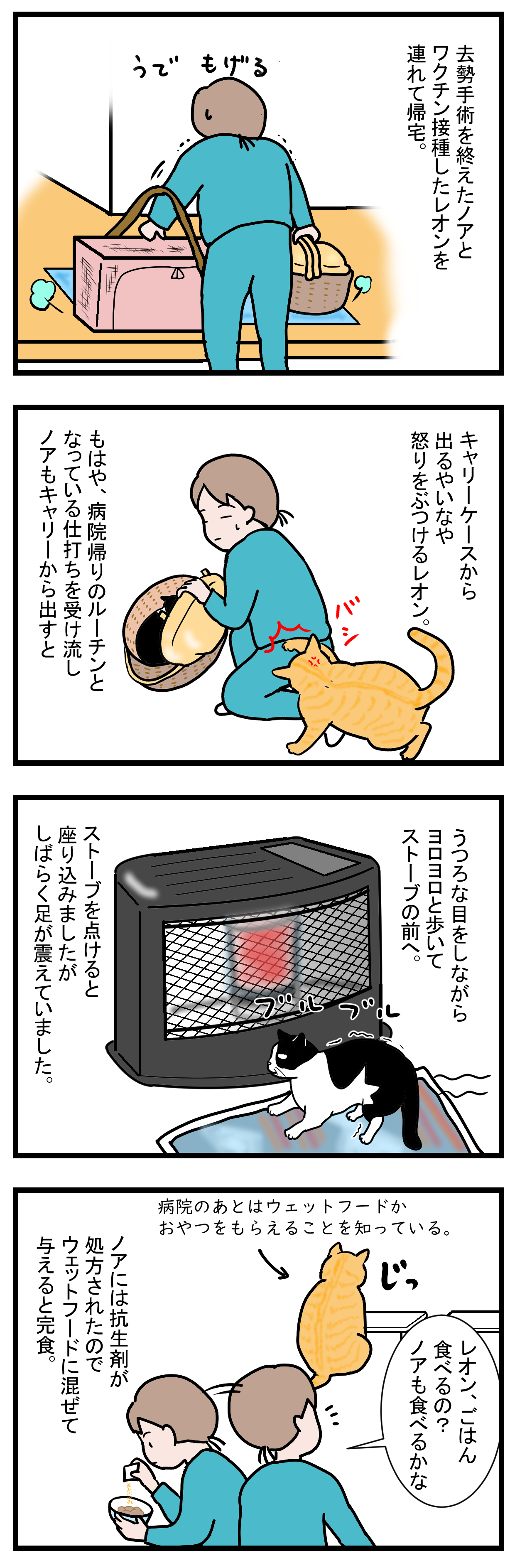 ノアレオン39-1