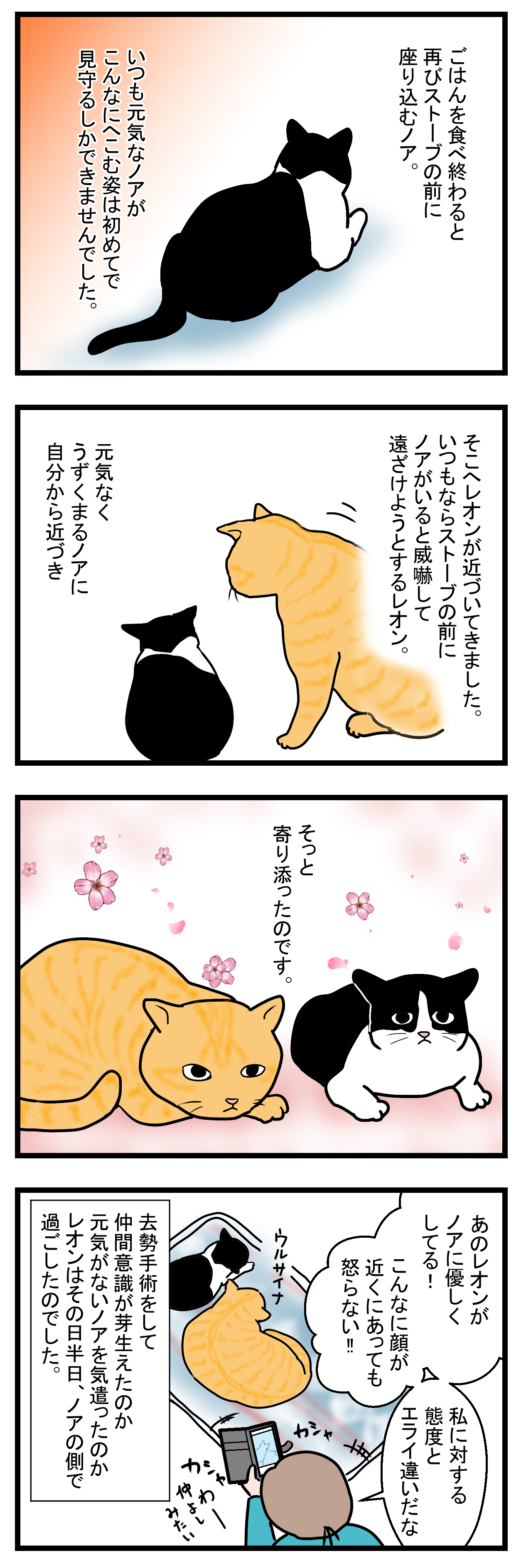 ノアレオン39-2