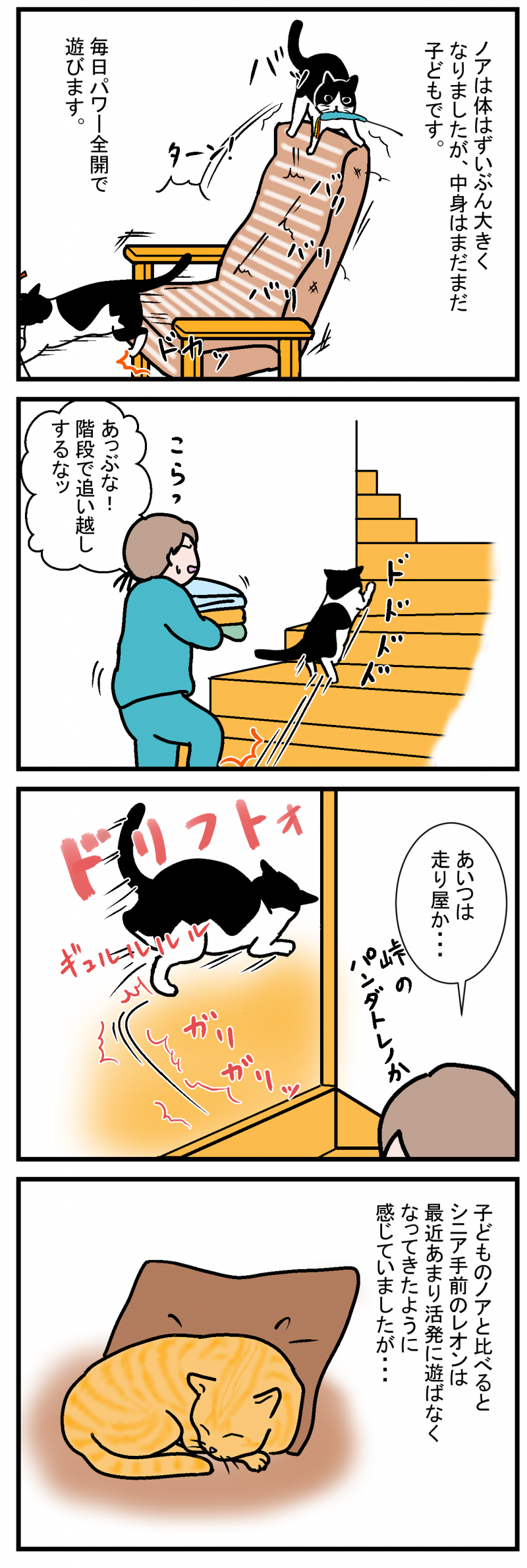 ノアレオン46-1