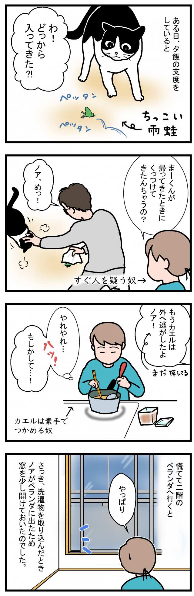 ノアレオン43-1