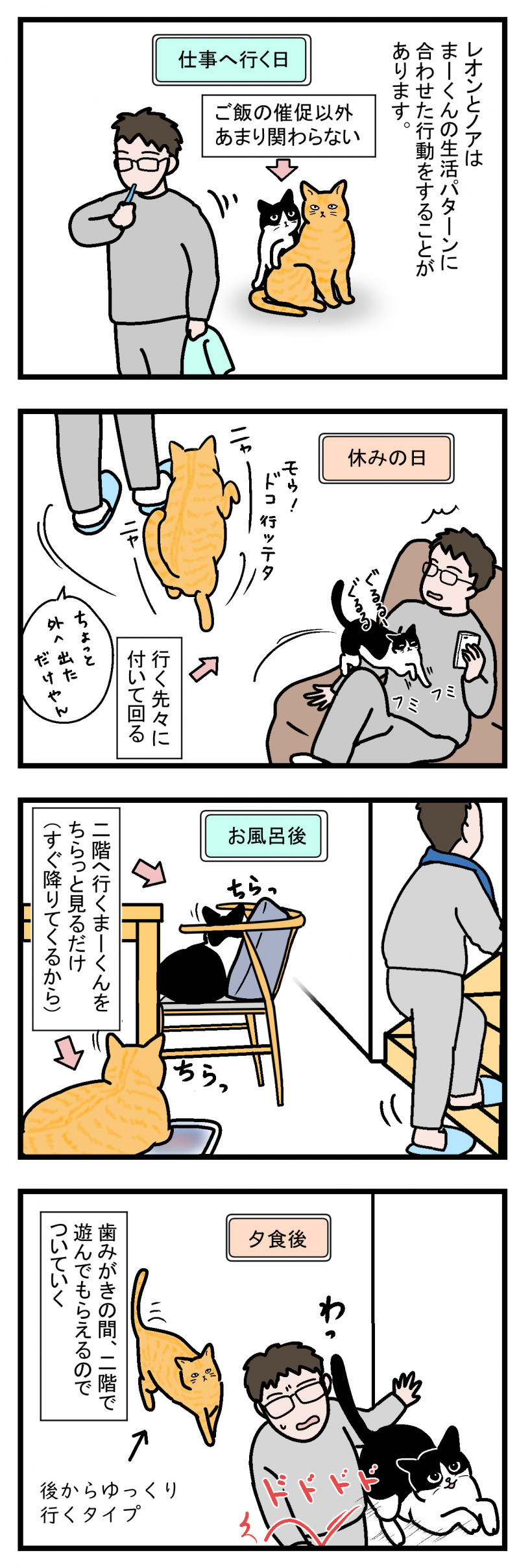 ノアレオン48-1