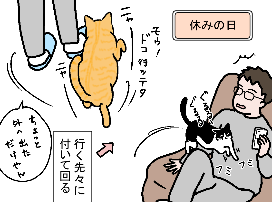 ノアレオン48