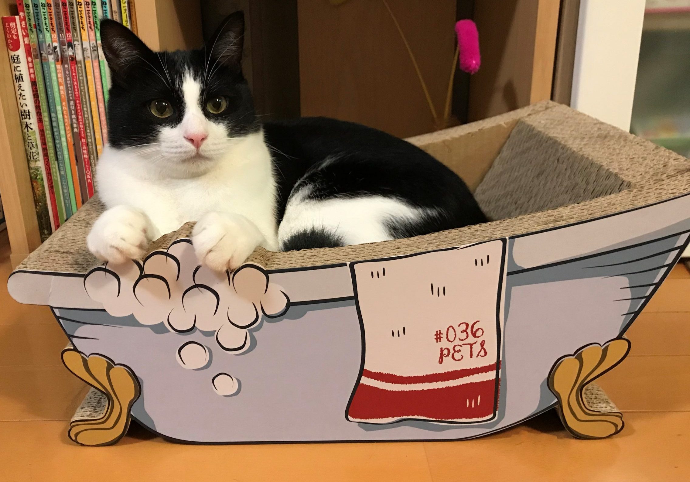 バスタブノア