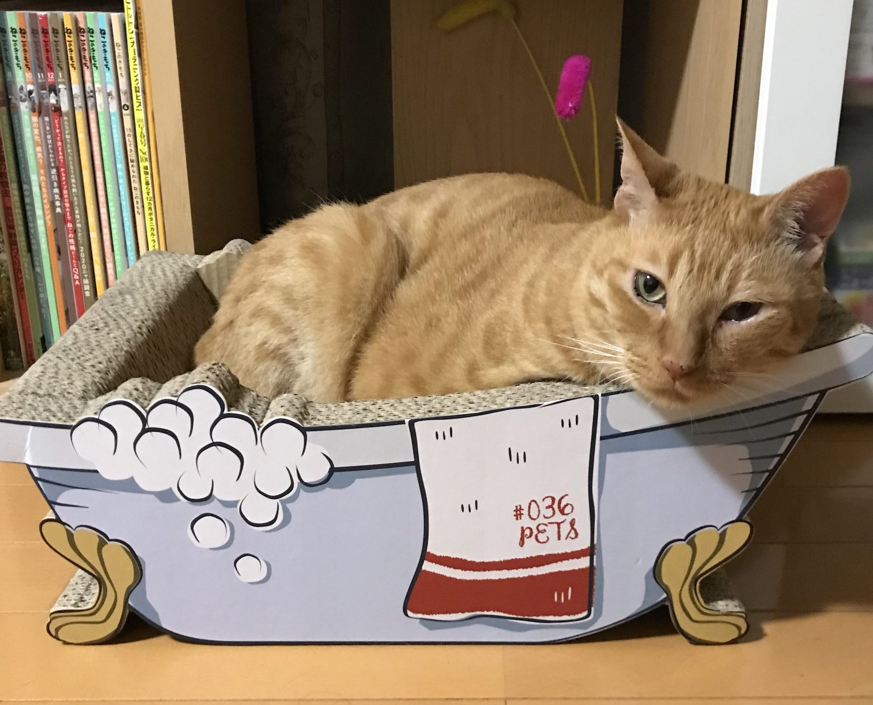 バスタブレオン