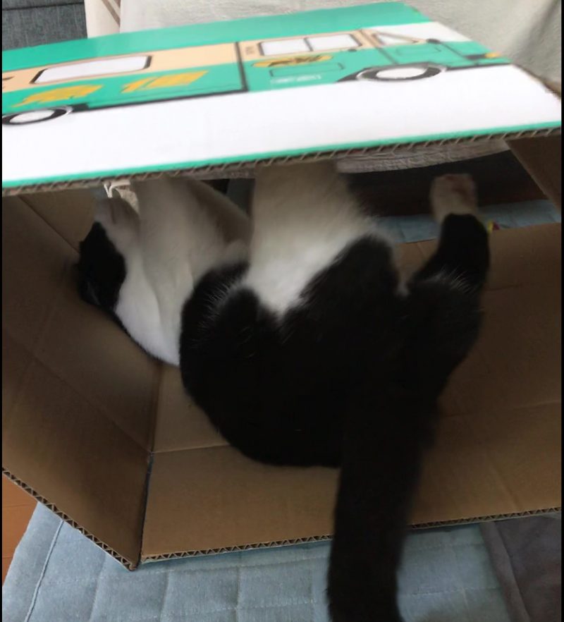 ヤマトトラック